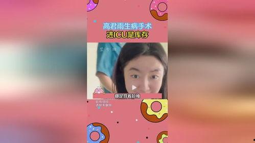 吃瓜庄园小说在线阅读,揭秘虚拟世界中的真实人生